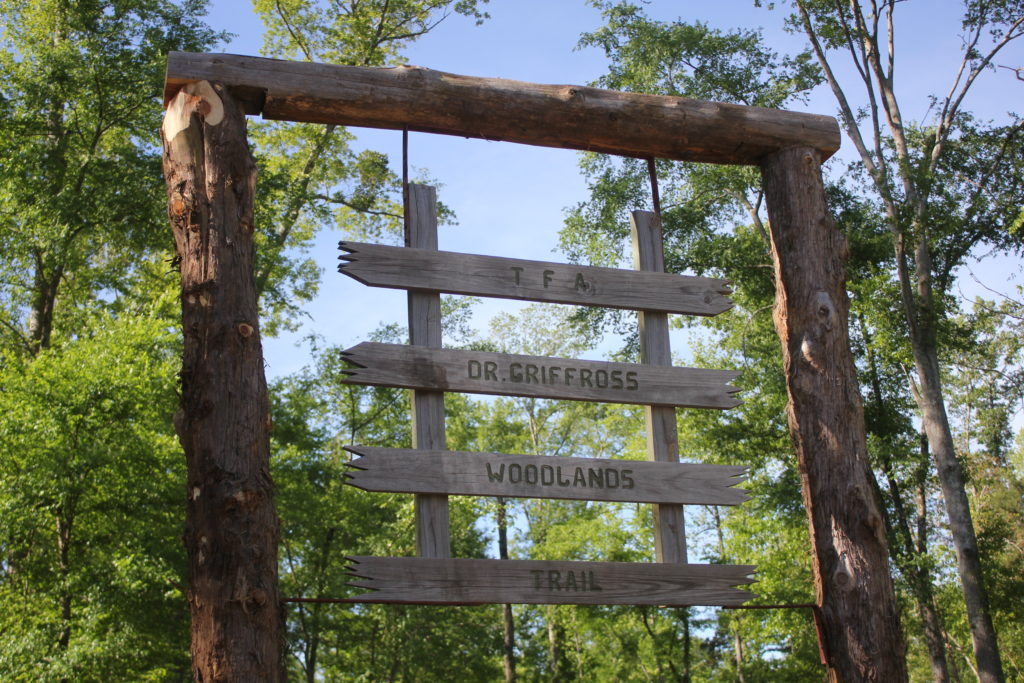 The Dr. Griff Ross Woodland Trail was reopened on April 8, 2016, and provided the location for members of TFA to participate in an electrofishing demonstration to determine the health of a creek that runs along part of the Woodland Trail. (Photo: Bethany Baldwin | MSGPR)
